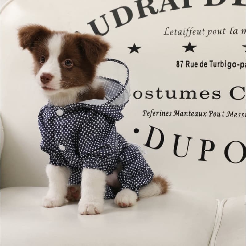 Capa de chuva para cães/gato capa de chuva cachorros de porte pequeno