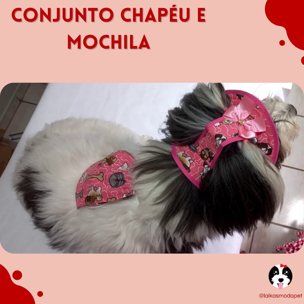 Conjunto Chapéu e Mochila Pet - Cachorro, Gato ou o pet que quiser - tamanhos pequenos