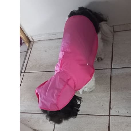 Capa de chuva Pet Luxo para Pet de vários tamanhos. várias cores cachorro ou gato - Cachorro porte Grande e Médio