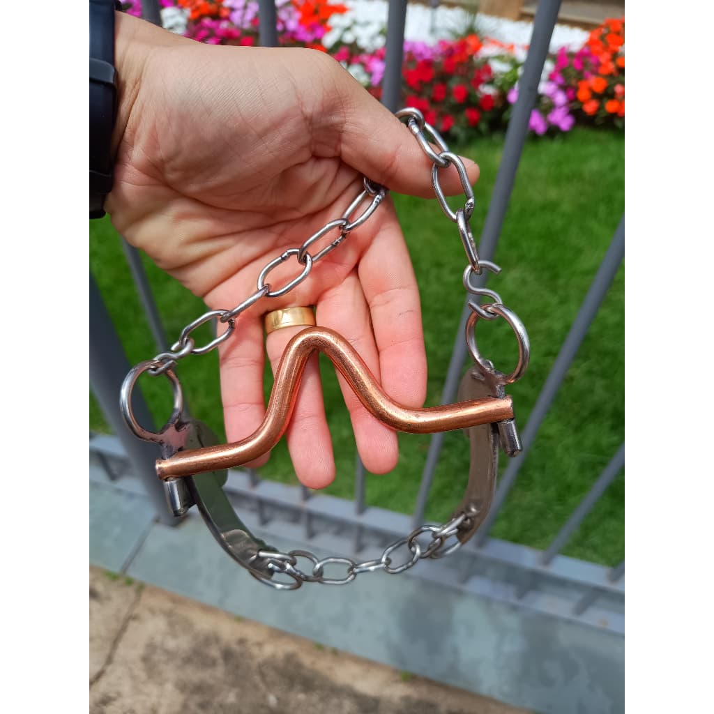 Freio Inox agua choca leve para cavalos Bocal de Bronze Alto Alta qualidade
