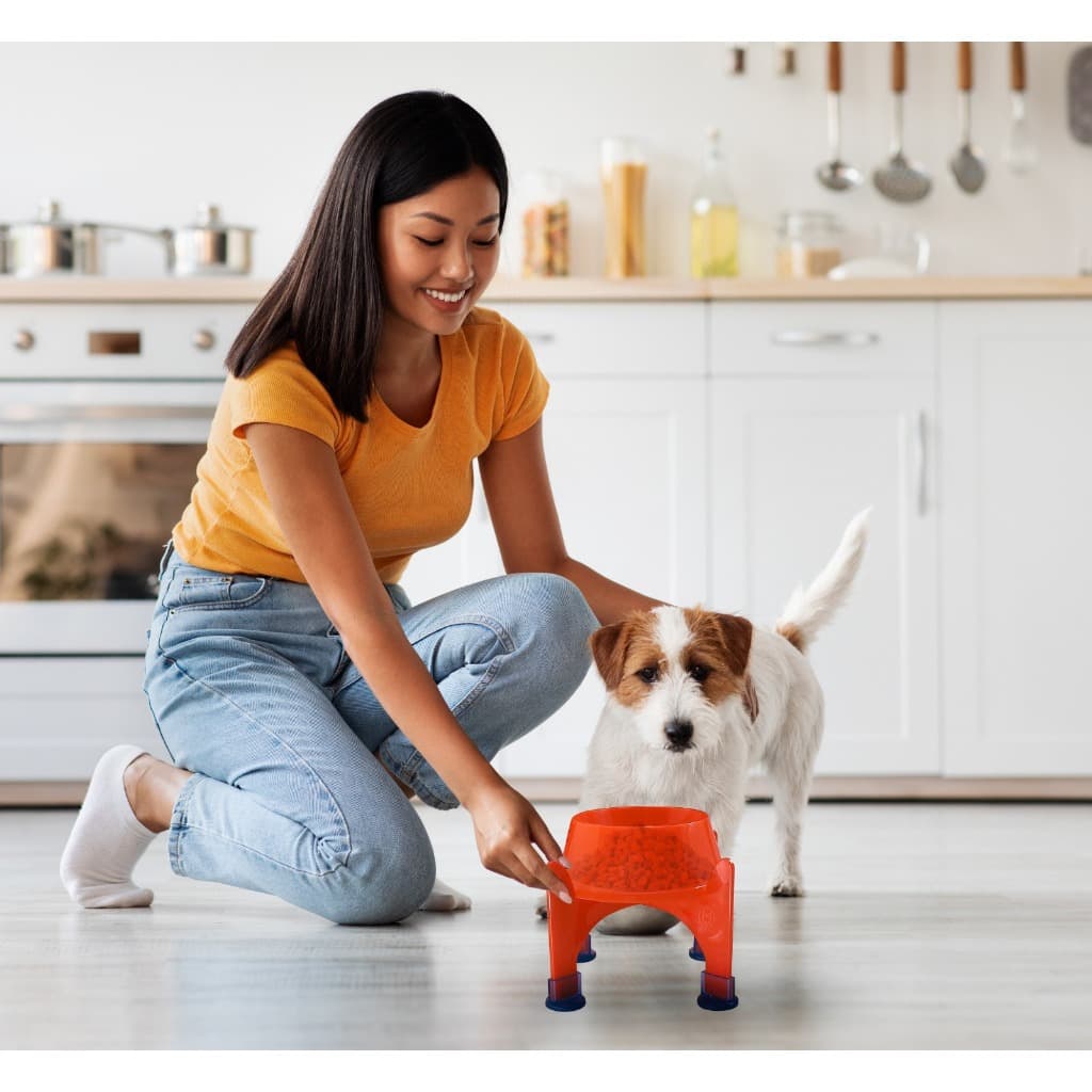 Comedouro Elevado Suspenso Alto Ergonômico com Suporte para Cães de Porte Pequeno 300ml BPA Free