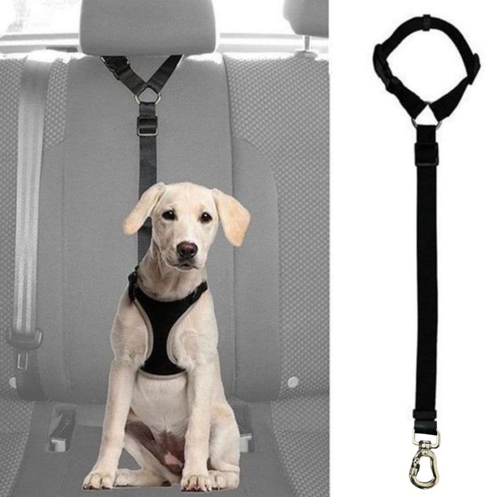 Cinto De Segurança Pet Veicular com Encosto De Cabeça para Cães de Médio e Grande Porte - Madiba Pet
