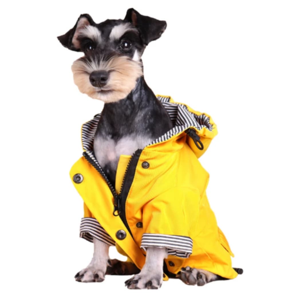 Capa De Chuva com Capuz Pet Cachorro Médio e Pequeno
