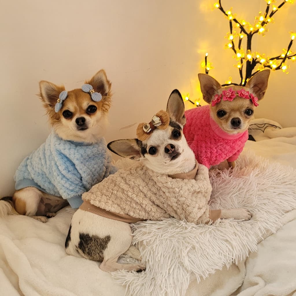 Roupa pet inverno casaco  de fleece para cachorro e gato casaco texturizado