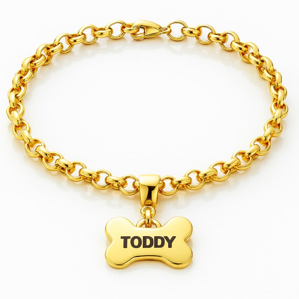 Coleira Pet Luxo Plaquinha Osso Personalizada Nome Gravação Cachorro Identificação Folheada Ouro 18k