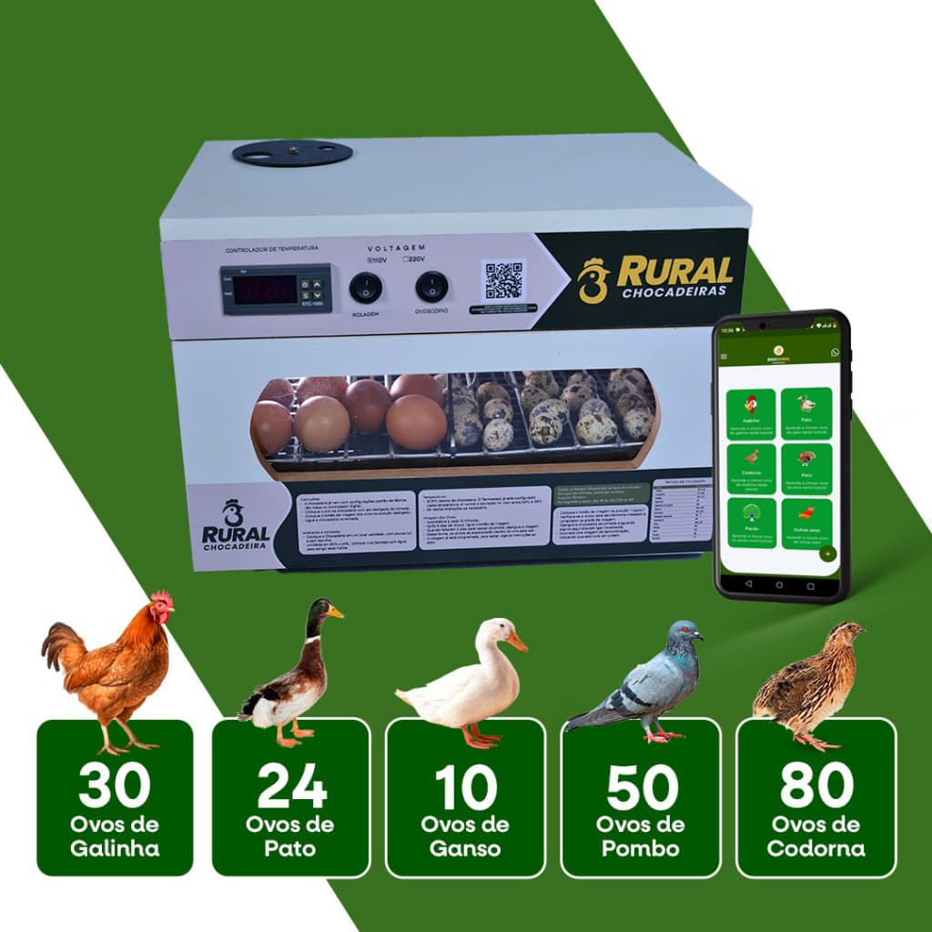 Chocadeira Automatica 35 a 45 Ovos de Galinha ou 90 Ovos de Codorna + Ovoscopio + APP