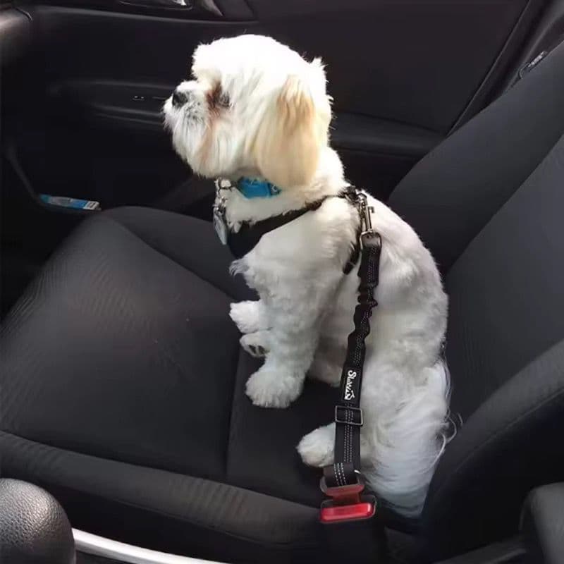 Cinto Adaptador Segurança Pet Carro Cães Gatos Cor Preto