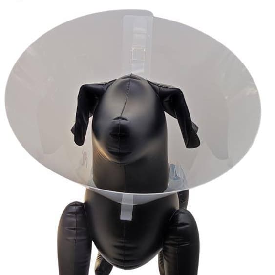 Colar Elizabetano Básico para cães e gatos - Qualidade Premium- Envio Imediato - Z4054