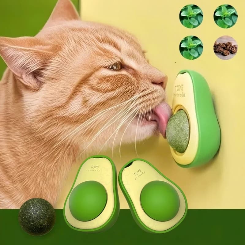 Abacate De Brinquedo Para Gatos Com Catnip Erva Gato Natural Envio imediato