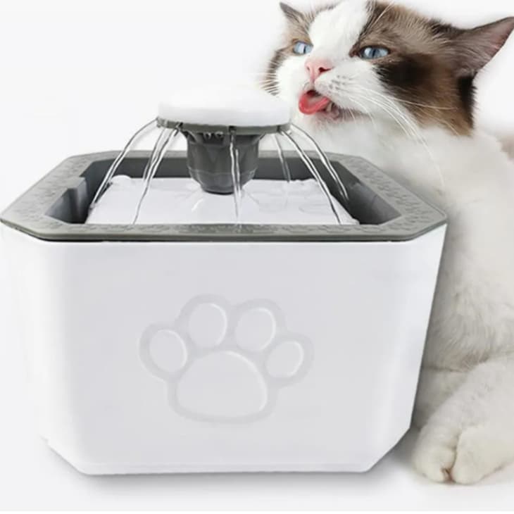 Bebedouro Fonte Automática Pets 2,5 Litros Filtro De Tripla Ação 3 Modos De Saída De Água