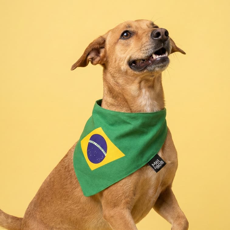 Bandana Pet Copa Bandeira do Brasil Masculina e Feminina para Cachorro e Gato | Mel & Bob