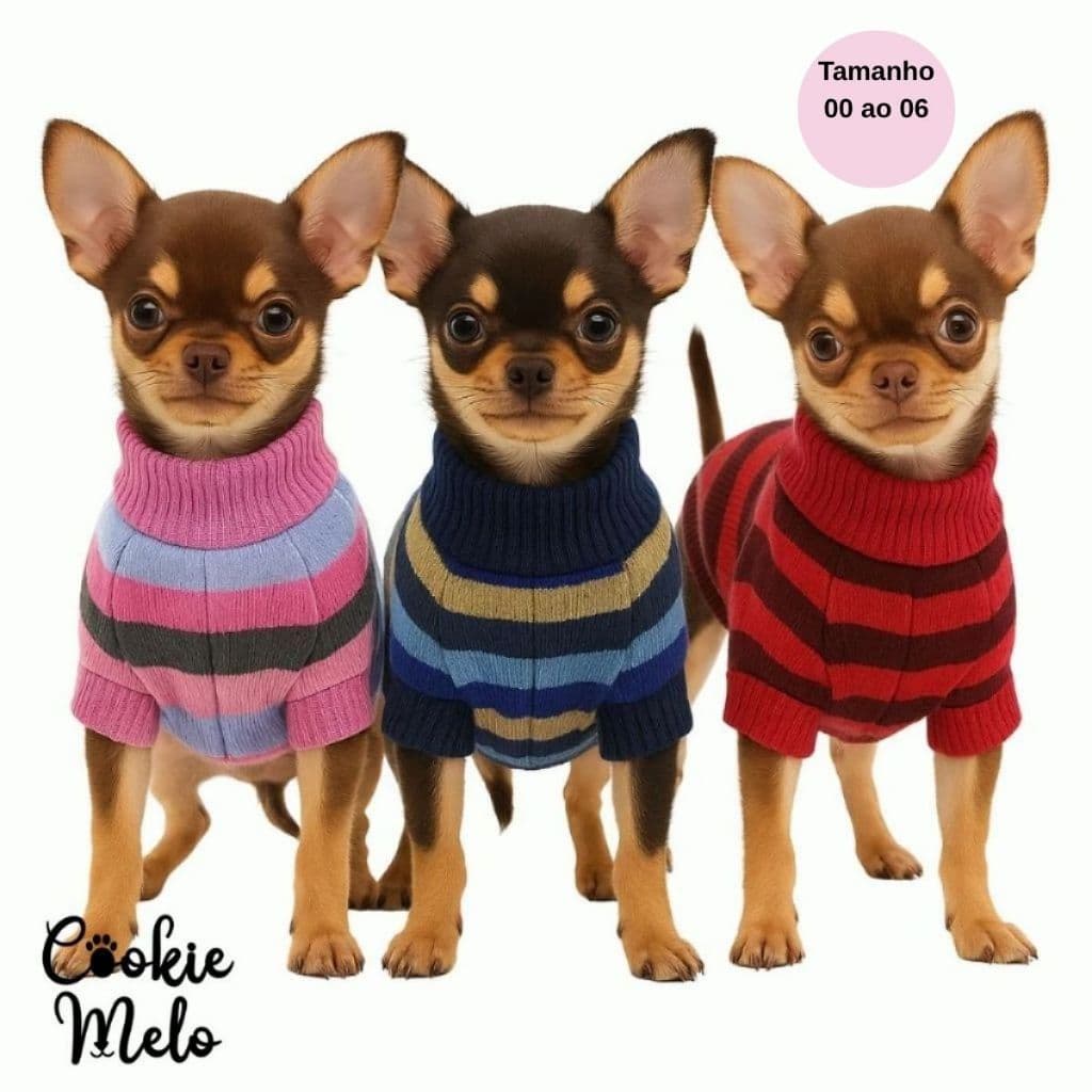Kit 2 Roupa Pet Mini Pequeno Porte Pinscher Chihuahua Cachorro Raça Filhotes Entrega Rápida