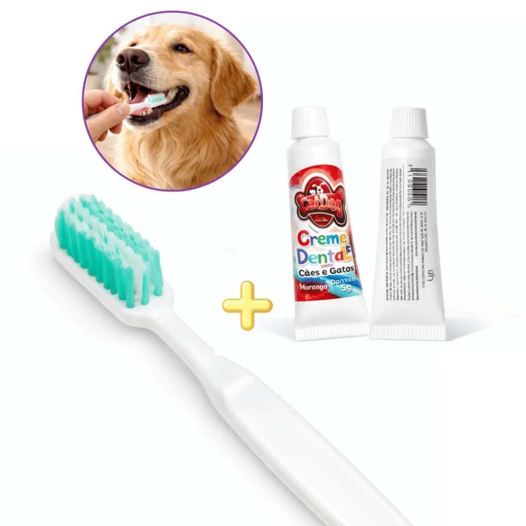 Kit Escova Descartável E Creme Dental Cat Dog
