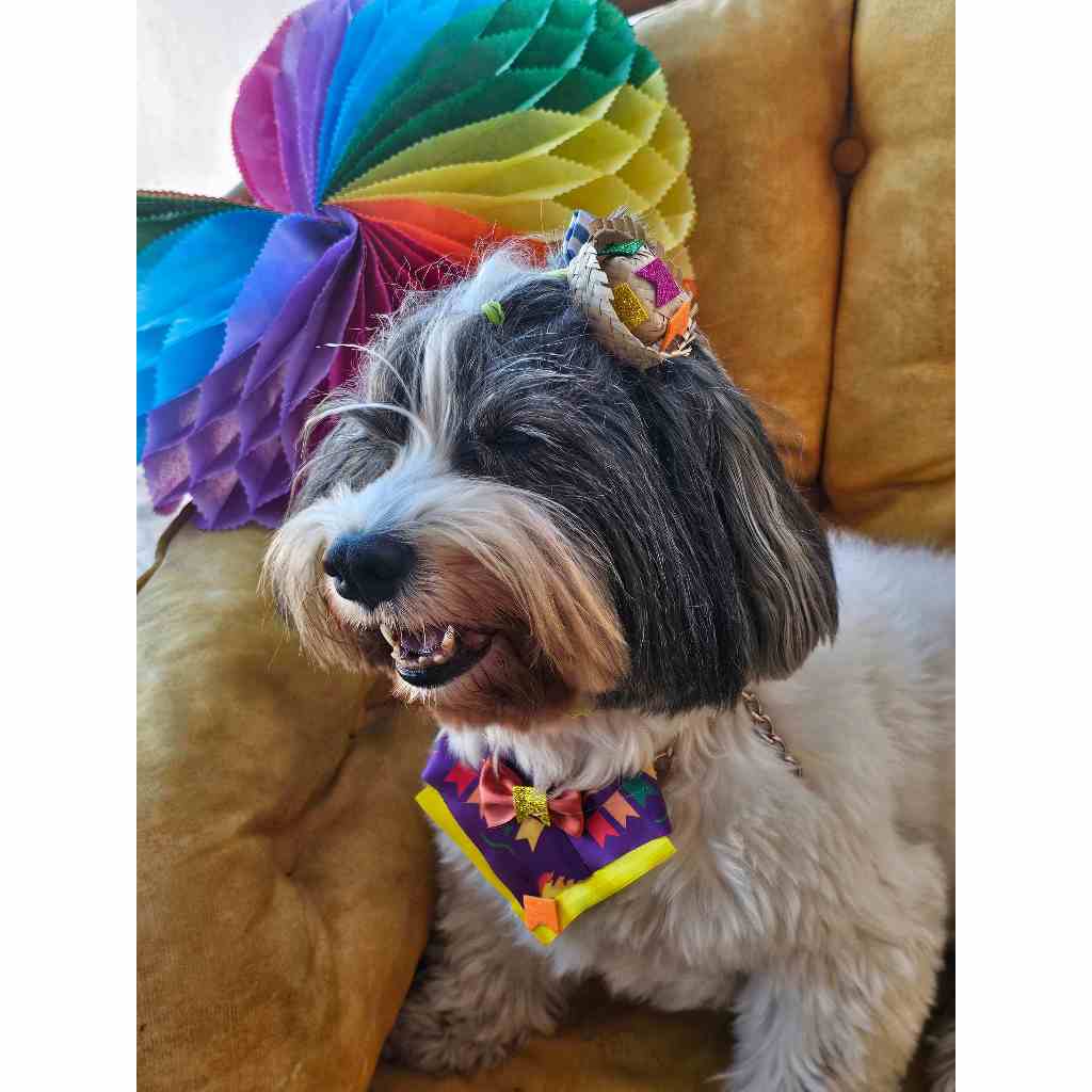 Kit Festa Junina Pet Completo 🌽🐶 Chapéu de Palha Decorado + Bandana Cetim Ajustável Cão e Gato