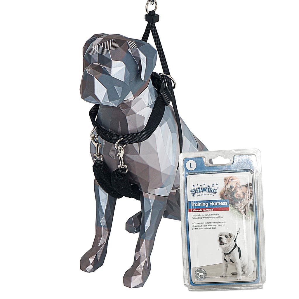 PEITORAL PAWISE PARA TREINAMENTO DA POSTURA DE CÃES - TAM G