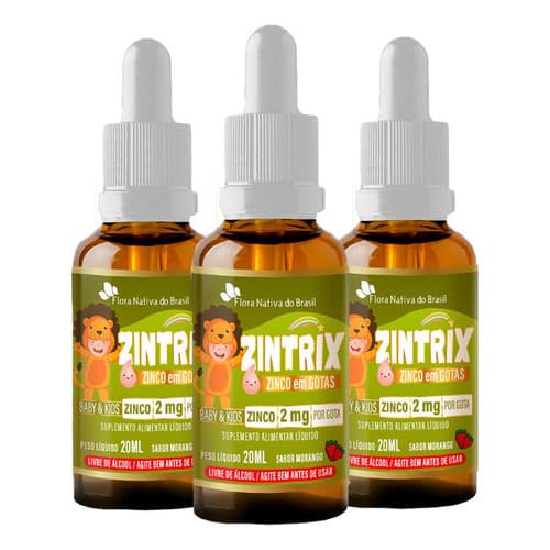 Zinco em Gotas Infantil Zintrix 3 X 20ml Flora Nativa