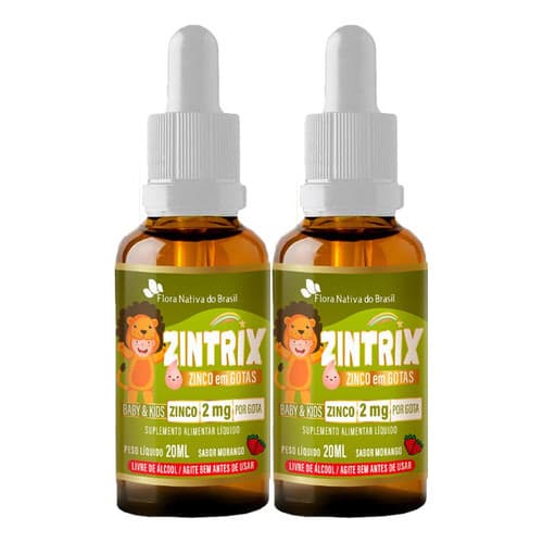 Zinco Em Gotas Infantil Zintrix 2 X 20ml Flora Nativa
