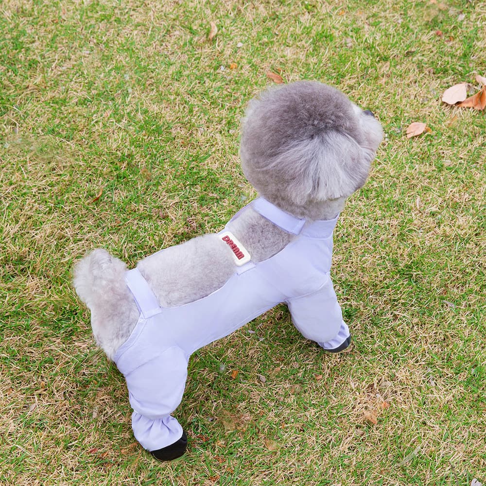 2026 Novo estilo para animais de estimação Roupas de quatro patas Teddy Bichon Yorkshire Dedicado Calças anti-sujeira co