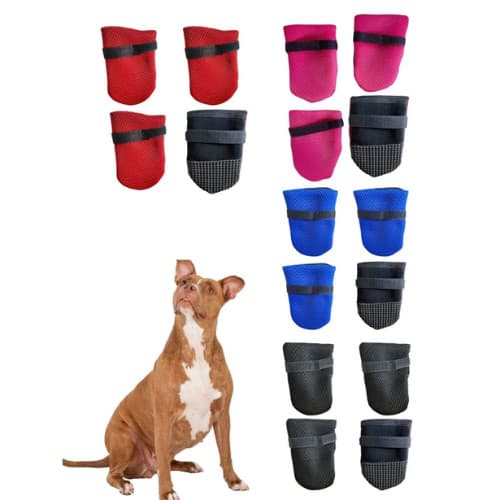 Sapatinho Sapato Botinha Para Cachorro Caes Gatos Pet - sort